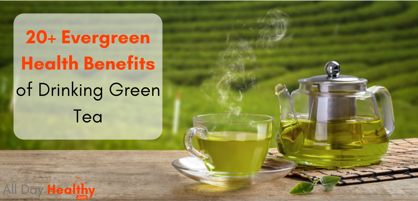 20+ Evergreen Health Benefits of Drinking Green Tea - AllDayHealthy